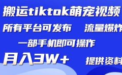 搬运Tiktok萌宠类视频，一部手机即可。所有短视频平台均可操作，月入3W+