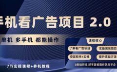 手机看广告项目2.0,单机收益30+,提现秒到账可矩阵操作
