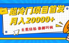 超级冷门项目，粤语动画赛道，十分钟一个原创视频，简单易上手 实测月入1w+
