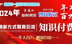 2024年普通人如何利用博商模式做翻身项目年入百万，财富自由