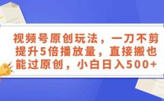 视频号原创玩法,一刀不剪提升5倍播放量,直接搬也能过原创,小白日入500+