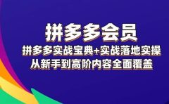 拼多多 会员，拼多多实战宝典+实战落地实操，从新手到高阶内容全面覆盖