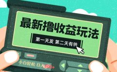 2024最新撸视频收益玩法，第一天发，第二天就有钱