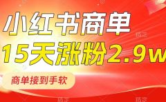 小红书商单最新玩法,新号15天2.9w粉,商单接到手软,1分钟一篇笔记