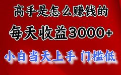 高手是怎么赚钱的，一天收益3000+ 这是穷人逆风翻盘的一个项目，非常...