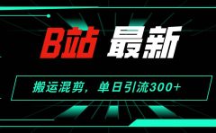 B站最新,搬运混剪,单日引流300+创业粉