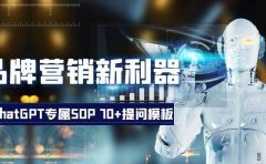 品牌营销新利器：ChatGPT专属SOP，70+提问模板