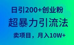超暴力引流法,日引200+创业粉,卖项目月入10W+