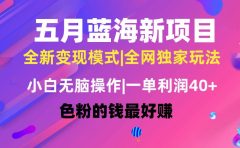 五月蓝海项目全新玩法,小白无脑操作,一天几分钟,矩阵操作,月入4万+