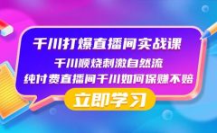 千川-打爆直播间实战课：千川顺烧刺激自然流 纯付费直播间千川如何保赚不赔