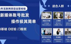 自媒体账号批发，看我怎么一天赚1个W，超简单