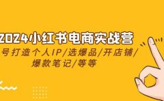2024小红书电商实战营，养号打造IP/选爆品/开店铺/爆款笔记/等等（24节）