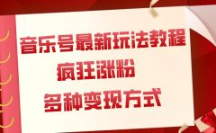 音乐号最新玩法教程,疯狂涨粉,多种拓展变现方式(附保姆级教程+素材)