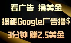 看广告，撸美金！3分钟赚2.5美金！日入200美金不是梦！揭秘Google广告...