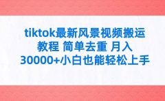 tiktok最新风景视频搬运教程 简单去重 月入30000+附全套工具