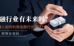 某付费文章:金融行业有未来吗?普通人如何利用金融行业发财?(附财富密码)