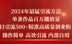 2024年最猛暴力引流方法，单条作品百万播放 单日引流500+高质量精准创业粉