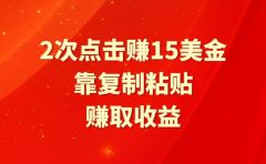 靠2次点击赚15美金，复制粘贴就能赚取收益