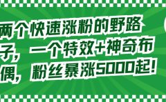 两个快速涨粉的野路子，一个特效+神奇布偶，粉丝暴涨5000起！