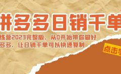 拼多多日销千单训练营2023完 拼多多日销千单训练营2023完整版，从0开始带你做好拼多多，让日销千单可以快速复制