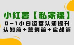 小红薯【私家课】0-1玩赚小红书内容营销，认知篇+营销篇+实战篇（11节课）