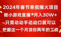 2024年春节寒假爆火项目,普通小白如何通过小游戏直播做到月入30W+