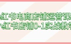 小红书电商店铺运营课程，小红书店铺0-1实战教学（60节课）