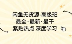 闲鱼无货源-高级班，最全·最新·最干，紧贴热点 深度学习（17节课）