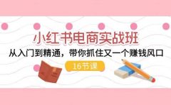 小红书电商实战班，从入门到精通，带你抓住又一个赚钱风口（16节）