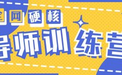 2024导师训练营6.0超硬核变现最高的项目，高达月收益10W+