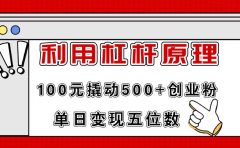 利用杠杆100元撬动500+创业粉,单日变现5位数