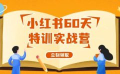 小红书60天特训实战营(系统课)从0打造能赚钱的小红书账号(55节课)
