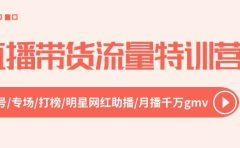 直播带货流量特训营,起新号-专场-打榜-明星网红助播 月播千万gmv(52节)