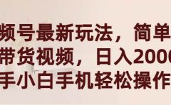 视频号最新玩法,简单搬运带货视频,日入2000+,新手小白手机轻松操作