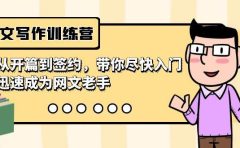网文写作训练营，从开篇到签约，带你尽快入门，迅速成为网文老手（22节课）
