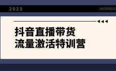 抖音直播带货-流量激活特训营，入行新手小白主播必学（21节课+资料）