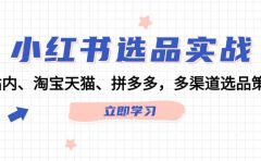 小红书选品实战：站内、淘宝天猫、拼多多，多渠道选品策略