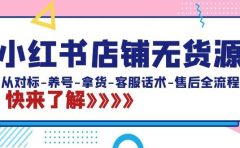 小红书店铺无货源:从对标-养号-拿货-客服话术-售后全流程(20节课)