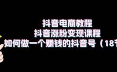 抖音电商教程:抖音涨粉变现课程:如何做一个赚钱的抖音号(18节)