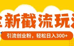 全新截流玩法，精准引流创业粉，轻松日入300+