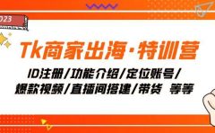 Tk商家出海·特训营：ID注册/功能介绍/定位账号/爆款视频/直播间搭建/带货