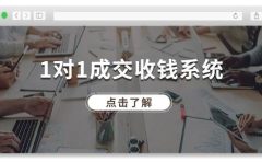 1对1成交 收钱系统,十年专注于引流和成交,全网130万+粉丝