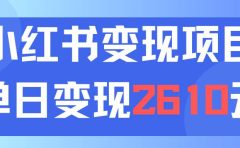 利用小红书卖资料单日引流150人当日变现2610元小白可实操(教程+资料)