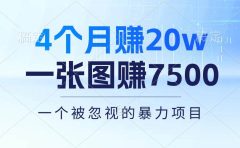 4个月赚20万！一张图赚7500！多种变现方式，一个被忽视的暴力项目