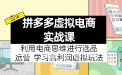 拼多多虚拟电商实战课:利用电商思维进行选品+运营,学习高利润虚拟玩法