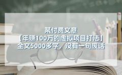 某付费文【年赚100万的虚拟项目打法】全文5000多字，没有一句废话