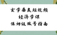 玄学 垂类短视频经济学课,保姆级做号指南(8节课)