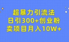 超暴力引流法，日引300+创业粉，卖项目月入10W+