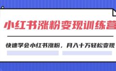 2024小红书涨粉变现训练营,快速学会小红书涨粉,月入十万轻松变现(40节)