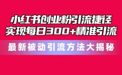 小红书创业粉引流捷径！最新被动引流方法大揭秘，实现每日300+精准引流
